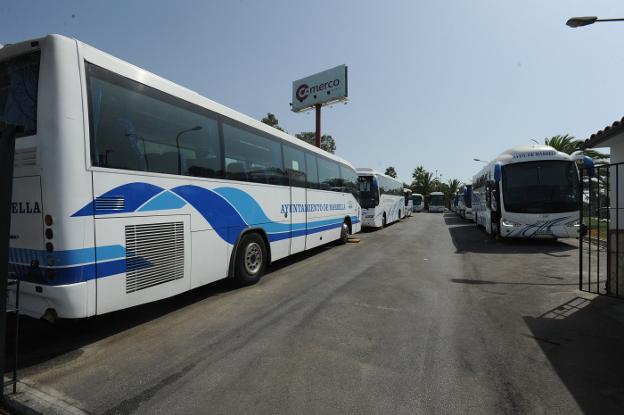 Marbella mantendrá congeladas este curso las tarifas del transporte escolar y universitario