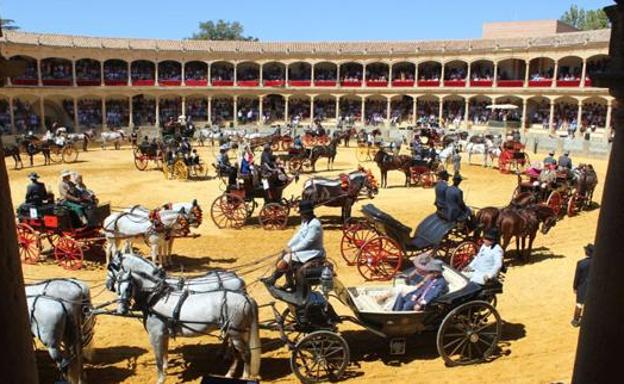 Canal Sur elige la Exhibición de Enganches de Ronda para su primera retransmisión en directo en 4K
