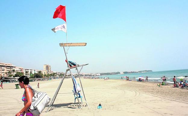 Las medusas lastran el verano a los negocios de playa de Málaga y llevan la preocupación al sector turístico