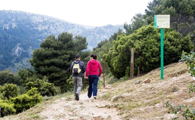 La Junta aprueba la nueva planificación de la Sierra de las Nieves centrada en el cambio climático