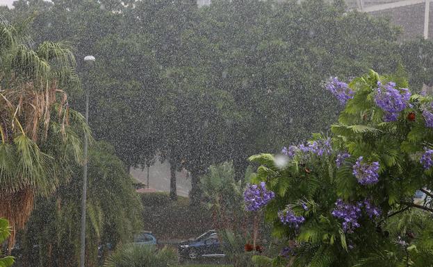 Meteorología activa el aviso amarillo para este domingo en la provincia de Málaga