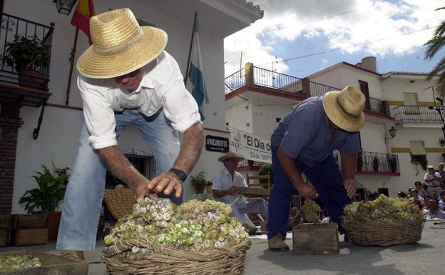 Las fiestas populares centran los planes para este domingo en Málaga