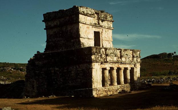 mayas hombre puma mayas hombre puma