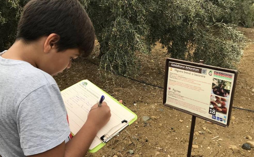 Un jardín nacido para enseñar en Álora