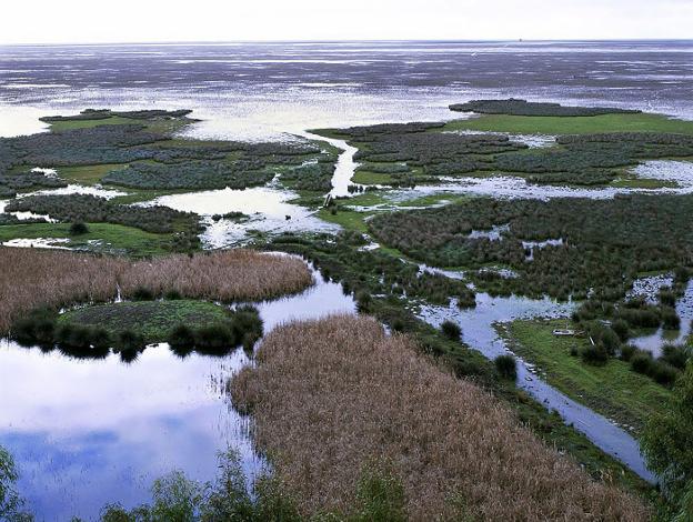 Los parlamentarios europeos chequean la salud medioambiental de Doñana