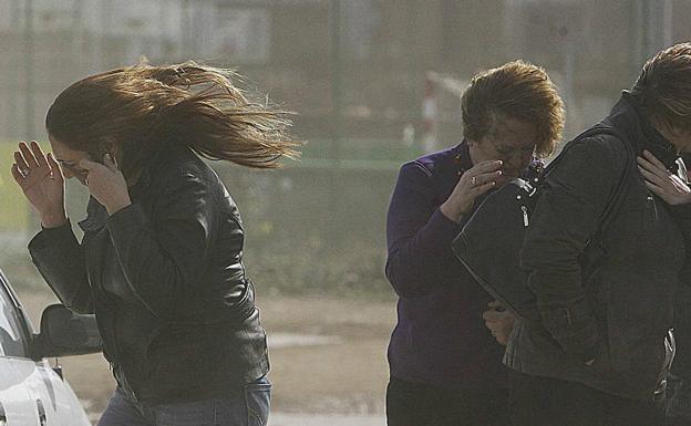 Aviso amarillo por viento en Ronda, con rachas de hasta 70 kilómetros