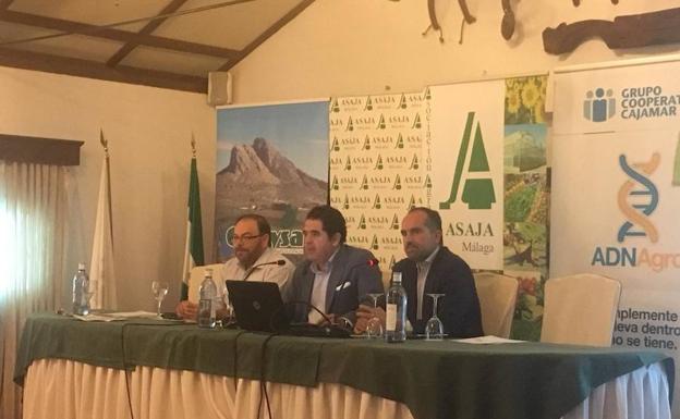 Más de un centenar de agricultores participan en la XV edición de la Jornada Técnica de Olivar de Asaja Málaga