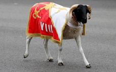 'Palito', la cabra de la Legión, una de las estrellas del desfile del Día de la Hispanidad