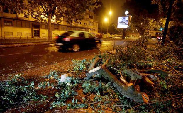 «Fue una pesadilla», relatan los testigos del paso de Leslie por Portugal