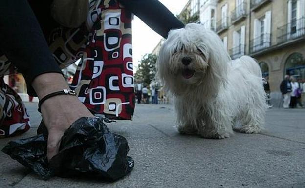 Medio Ambiente aprueba intensificar las multas a los que dejen los excrementos de sus perros en la vía pública