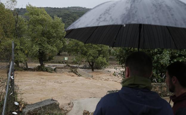 Todos los vídeos de los efectos de las últimas lluvias en el interior de Málaga