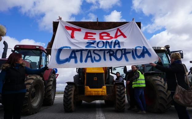 Los ayuntamientos del interior de la provincia estiman que las pérdidas del temporal superan los 128 millones