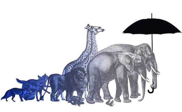 El diluvio universal