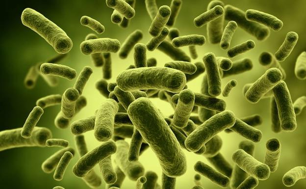 Las bacterias ultrarresistentes matan a miles de españoles