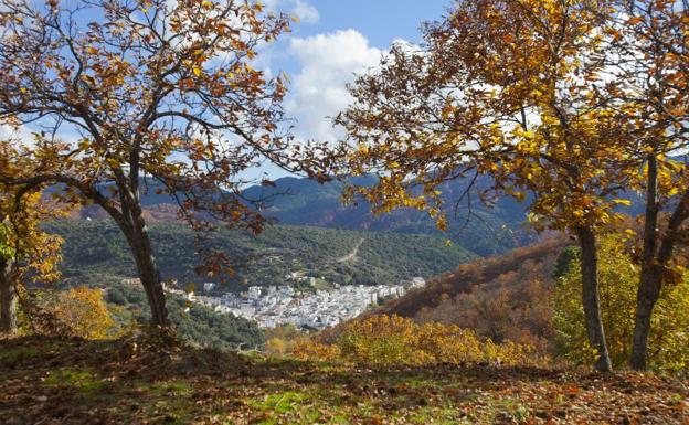 La Diputación incrementará la promoción del Bosque de Cobre de Málaga con la señalización de 19 senderos