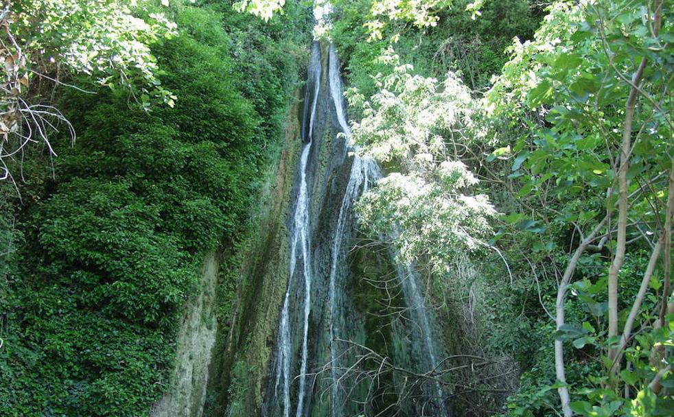 15 sitios que tienes que ver si vas al Bosque de Cobre