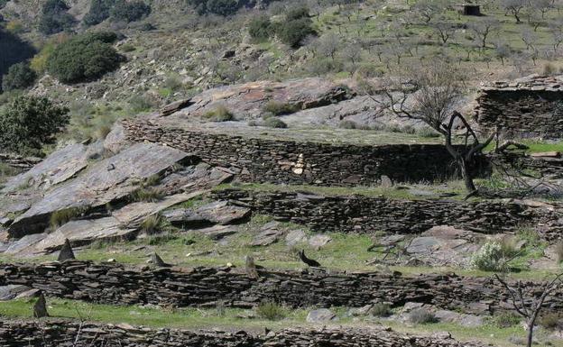 Los balates de la Axarquía, reconocidos como Patrimonio de la Humanidad por la Unesco