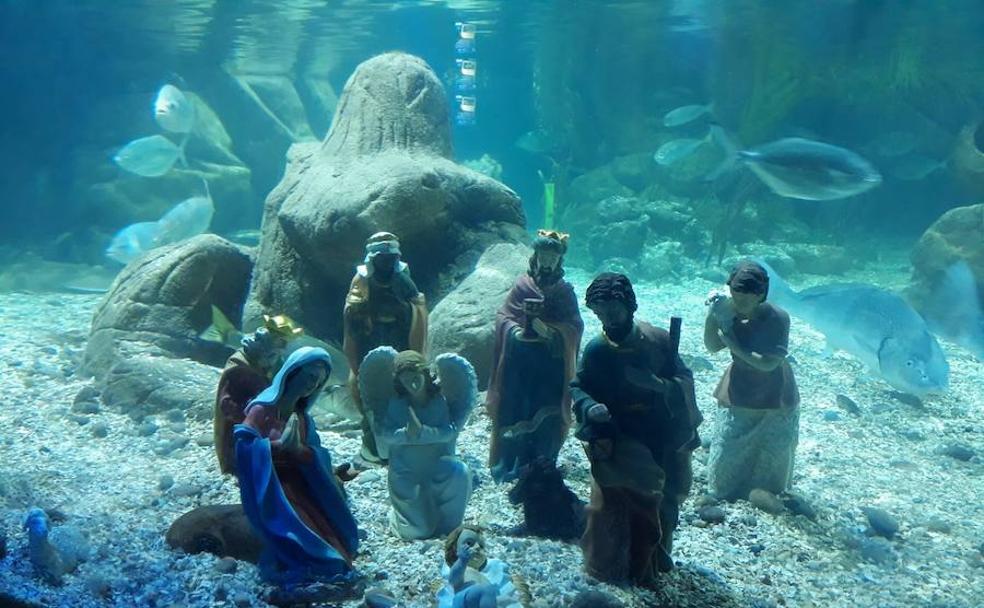 Belenes muy singulares que puedes ver en Málaga esta Navidad