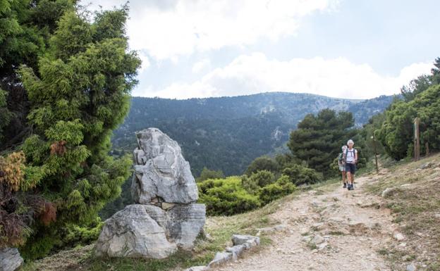 El Gobierno aprueba la propuesta final del nombramiento de la Sierra de las Nieves como parque nacional