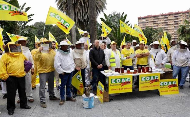 Apicultores protestan contra las importaciones de mieles de mala calidad por parte de la industria