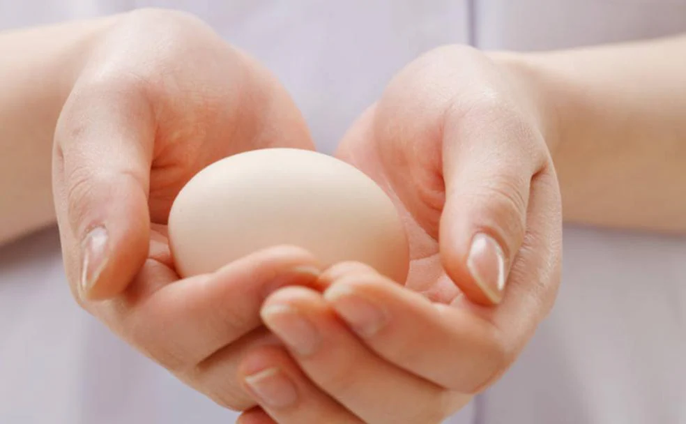'Por qué las auténticas feministas deberían dejar de comer huevos'
