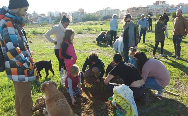 Plantación simbólica en los terrenos de Repsol de Málaga