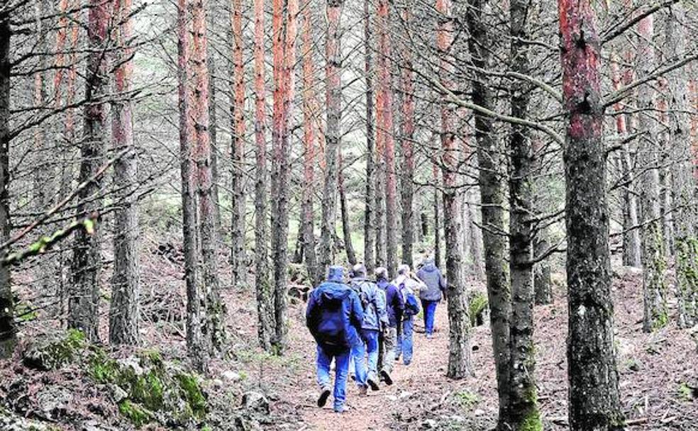Los padres de la Sierra de las Nieves