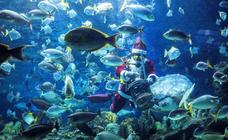 Los 'hobbies' de Papá Noel, en imágenes