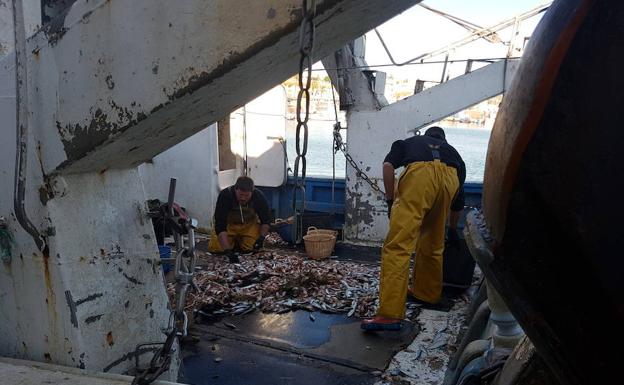 La flota, obligada ya a desembarcar en puerto todos los descartes de las capturas