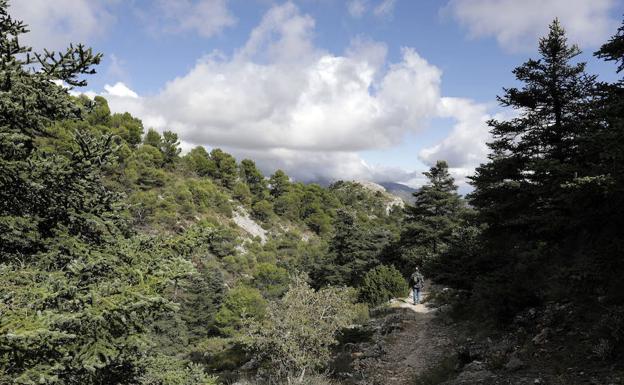 Las empresas esperan al parque nacional para despegar en la Sierra de las Nieves