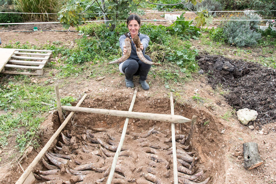 Historias de éxito en el agroturismo en Málaga