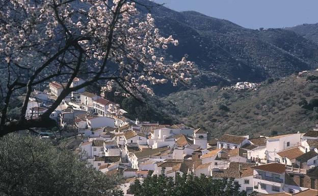 Diputación de Málaga invierte 450.000 euros en un Museo del Aceite en Cómpeta y un Centro de Estudios de la Pasa en Moclinejo