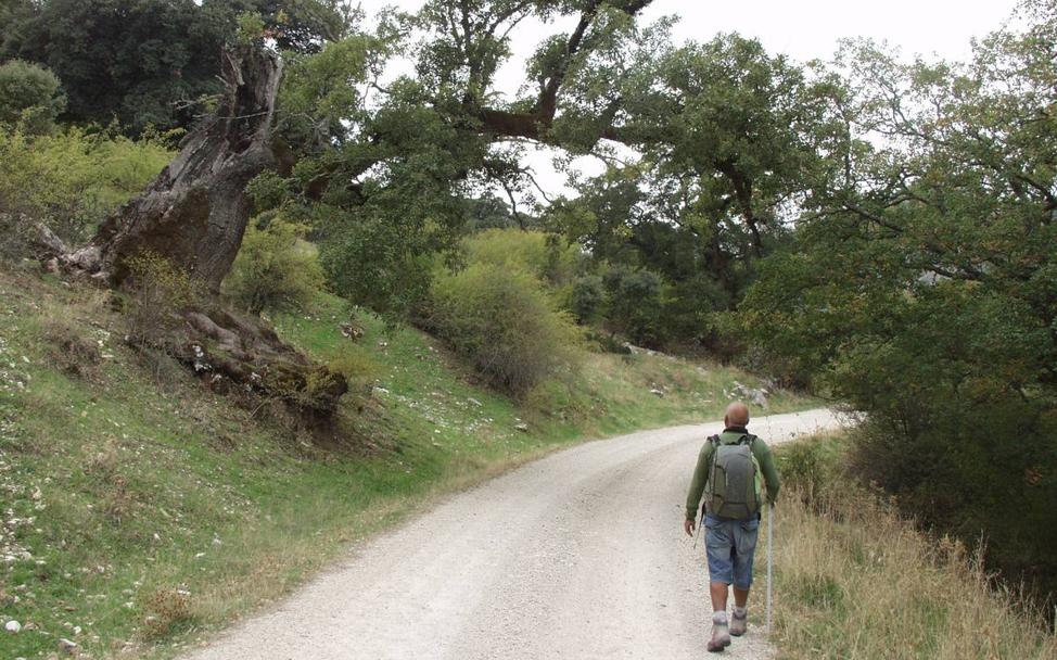 Rutas de senderismo para quemar calorías en Málaga