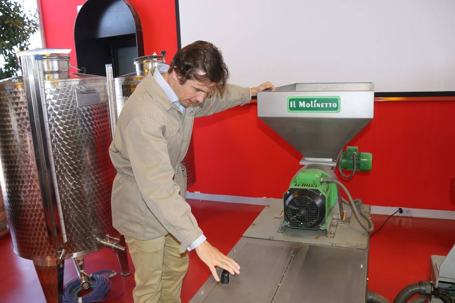 Primera fase del proyecto de la almazara ecológica diseñada por Starck en Ronda