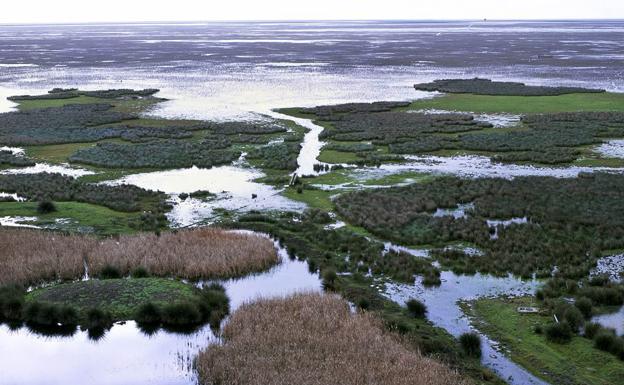 Europa pide nuevos informes sobre los riesgos del gaseoducto de Doñana