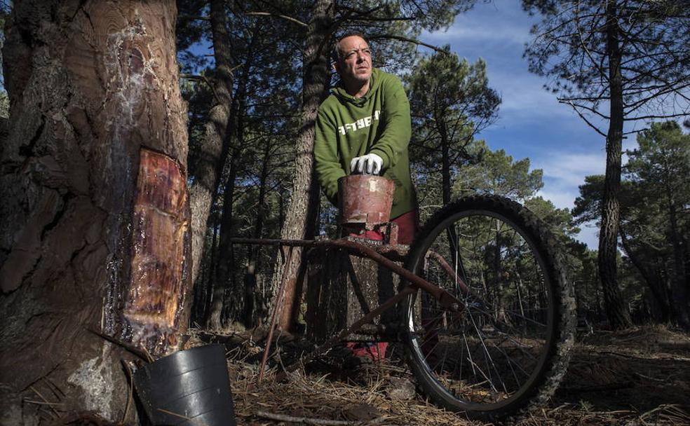 Soria, la provincia donde (casi) no hay parados