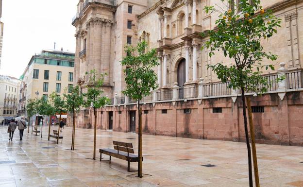 Los naranjos de Postigo de los Abades serán de quita y pon para el nuevo recorrido de las cofradías