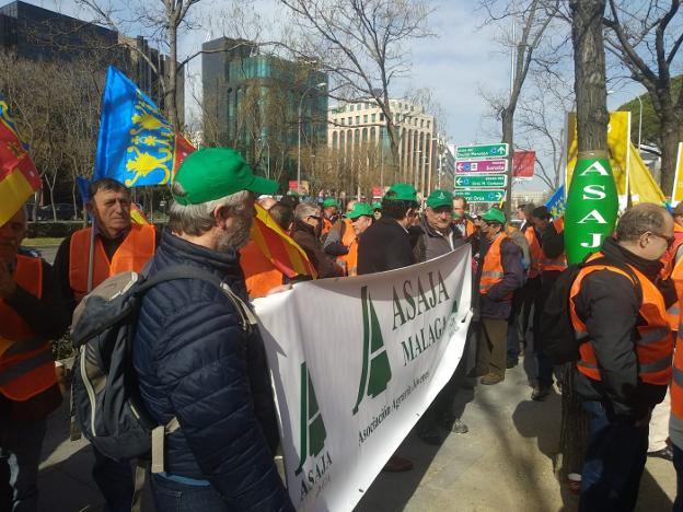 CITRICULTORES MALAGUEÑOS PROTESTAN EN MADRID