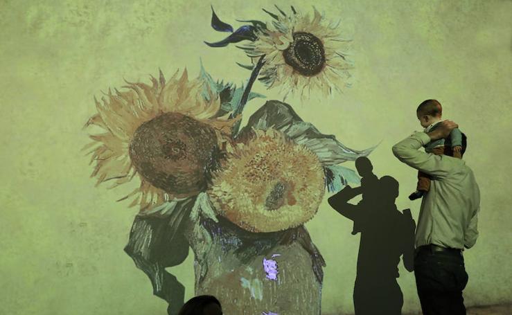 La exposición multimedia 'Van Gogh Alive' llega al Puerto de Málaga