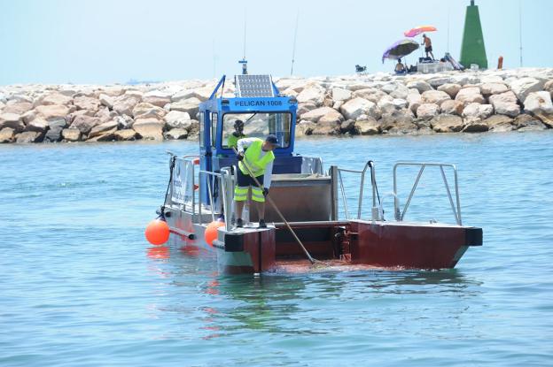 Marbella autoriza la instalación de piscinas antimedusas en cinco playas del municipio