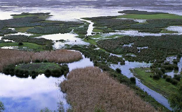 La Eurocámara vota este jueves el informe sobre posibles irregularidades medioambientales en Doñana