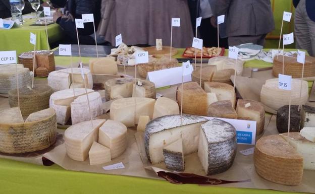 Pasión por el queso en Cádiz