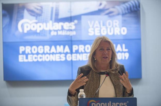 Muñoz aplaude la admisión del recurso y acusa al PSOE de querer «hacer caja» con la ciudad