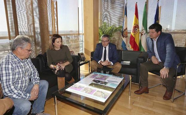La Diputación realiza un estudio sobre la viabilidad de una alternativa al corte de tráfico en el Puente