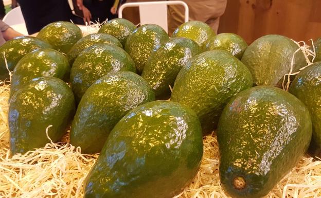 Los productores de frutas tropicales analizan los retos de futuro del sector