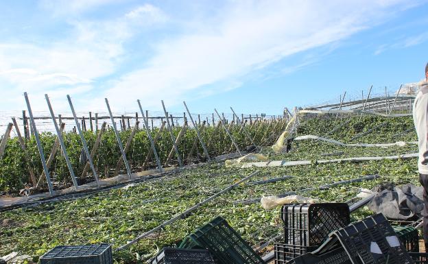 Junta pide una «corrección» al Gobierno en la rebaja de módulos del IRPF para la agricultura