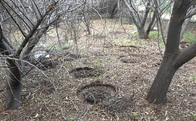 Campamento Benítez: el misterio de los neumáticos