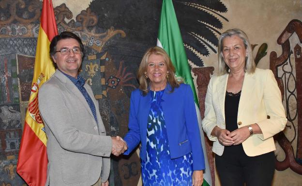 Marbella se alía con el Colegio de Arquitectos para reducir a cuatro meses la concesión de licencias