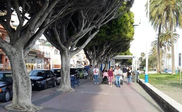 Problemas con los excrementos de aves en El Palo