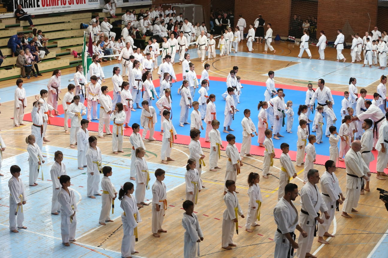 XXV Gran Gala de las Artes Marciales de Málaga